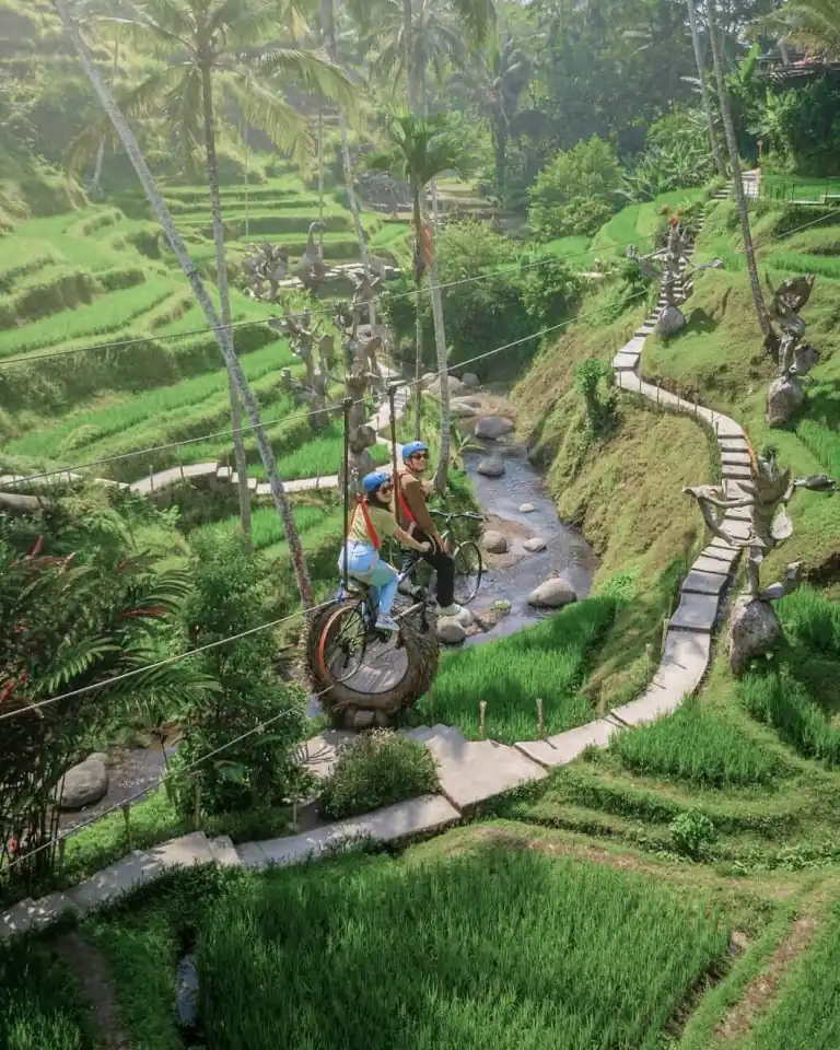 Naik sepeda di sawah tropis