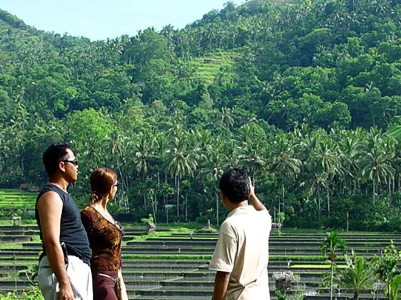 Teras sawah tropis dan pengunjung