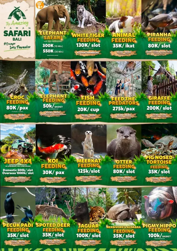 The Amazing Safari Bali pilihan