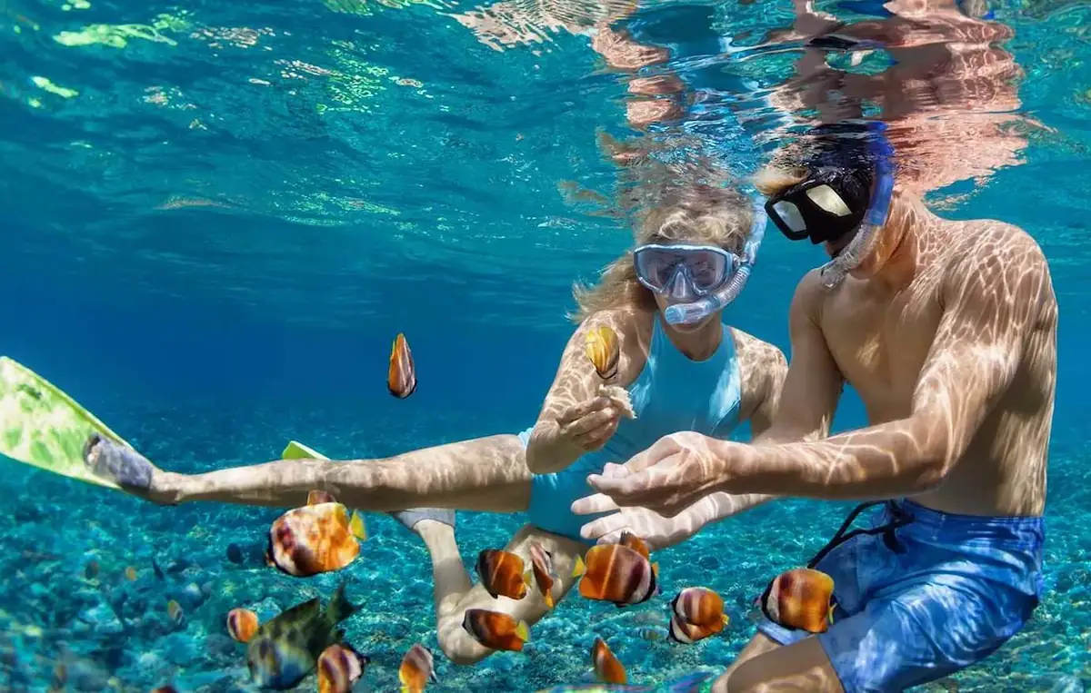 Snorkeling couple with colorful fish