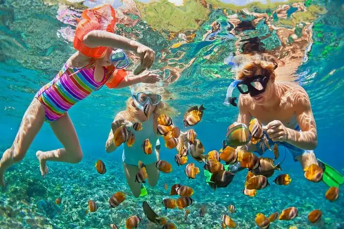 Keluarga bersnorkel memberi makan ikan